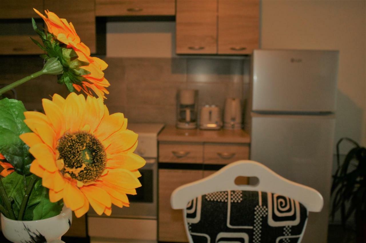 Casa Peterfi - Apartment With 3 Bedrooms And Spacious Living Room Târgu-Mureş Buitenkant foto